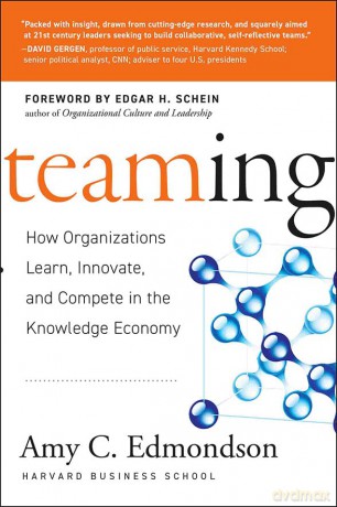 Teaming: How Organizations Learn, Innovate, and Compete in the Knowledge Economy - Amy C. Edmondson [KSIĄŻKA]