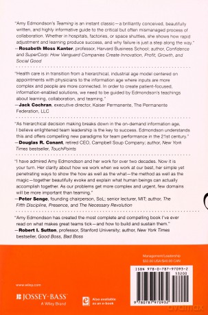 Teaming: How Organizations Learn, Innovate, and Compete in the Knowledge Economy - Amy C. Edmondson [KSIĄŻKA]