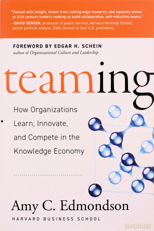 Teaming: How Organizations Learn, Innovate, and Compete in the Knowledge Economy - Amy C. Edmondson [KSIĄŻKA]