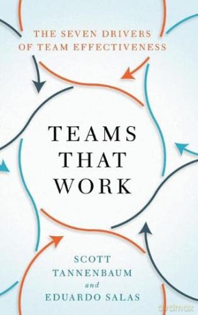 Teams That Work: The Seven Drivers of Team Effectiveness - Scott Tannenbaum [KSIĄŻKA]