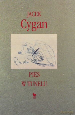 Pies w tunelu - Jacek Cygan [KSIĄŻKA]