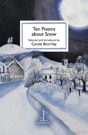 Ten Poems about Snow - Carole Bromley [KSIĄŻKA]
