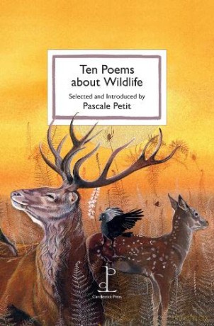 Ten Poems about Wildlife - Pascale Petit [KSIĄŻKA]