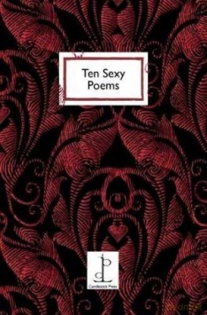 Ten Sexy Poems - Di Slaney [KSIĄŻKA]