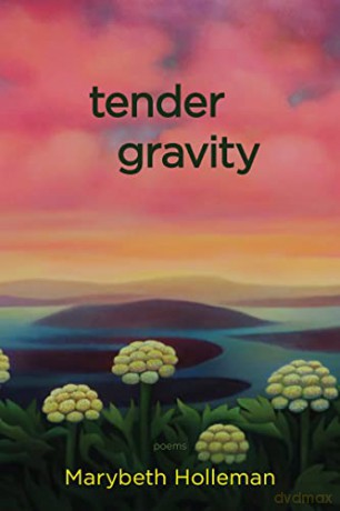 tender gravity: Poems - Marybeth Holleman [KSIĄŻKA]