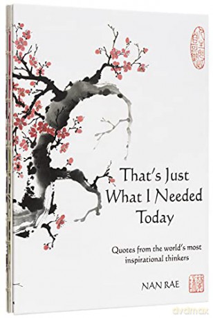 That's Just What I Needed Today: Quotes from the world's most inspirational thinkers (Inspirational Gift) - Nan Rae [KSIĄŻKA]