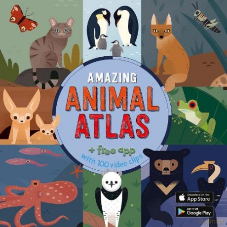 The Amazing Animal Atlas - Anne McRae [KSIĄŻKA]