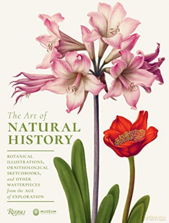 The Art of Natural History: Botanical Illustrations, Ornithological Sketchbooks, and Other Masterpieces from the Age of Exploration - Pascale Heurtel [KSIĄŻKA]
