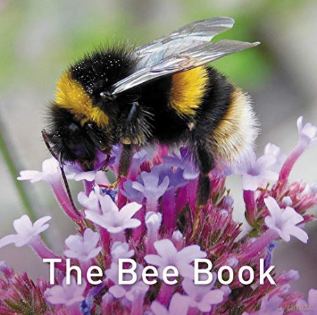 The Bee Book (Nature Book) - Jo Byrne [KSIĄŻKA]