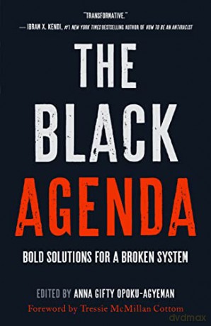 The Black Agenda: Bold Solutions for a Broken System - Anna Gifty Opoku-Agyeman [KSIĄŻKA]