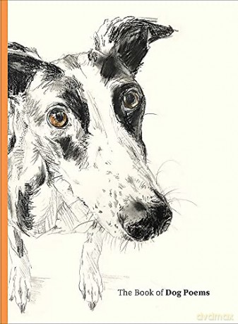 The Book of Dog Poems - Ana Sampson [KSIĄŻKA]