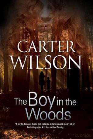 The Boy in the Woods - Carter Wilson [KSIĄŻKA]