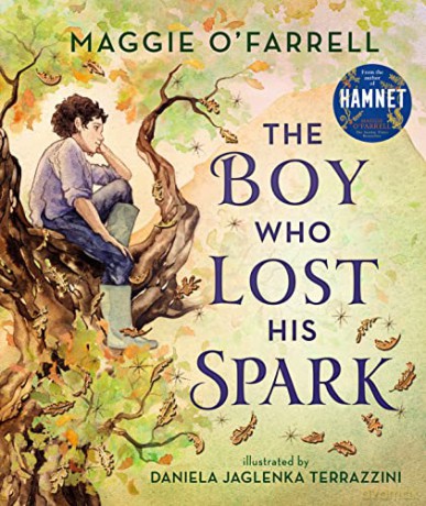 The Boy Who Lost His Spark - Maggie O'Farrell [KSIĄŻKA]