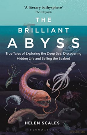 The Brilliant Abyss: True Tales of Exploring the Deep Sea, Discovering Hidden Life and Selling the Seabed - Helen Scales [KSIĄŻKA]