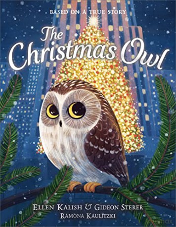 The Christmas Owl - Gideon Sterer [KSIĄŻKA]