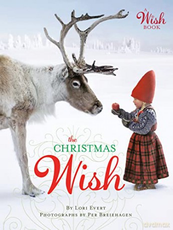 The Christmas Wish (A Wish Book) - Lori Evert [KSIĄŻKA]