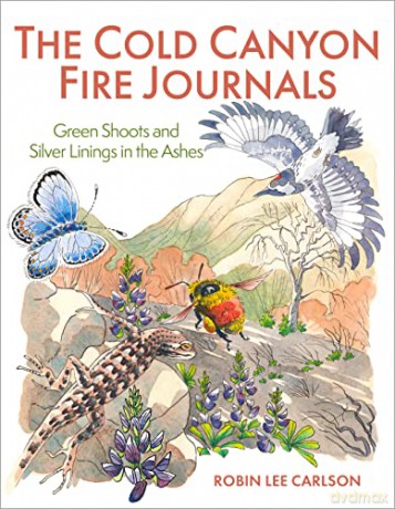 The Cold Canyon Fire Journals: Green Shoots and Silver Linings in the Ashes - Robin Lee Carlson [KSIĄŻKA]