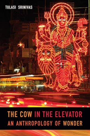 The Cow in the Elevator: An Anthropology of Wonder - Tulasi Srinivas [KSIĄŻKA]