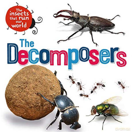 The Decomposers - Sarah Ridley [KSIĄŻKA]