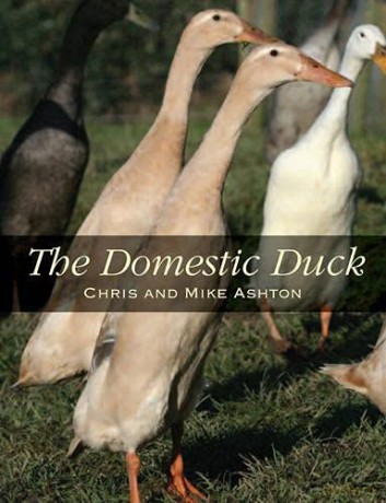 The Domestic Duck - Chris Ashton [KSIĄŻKA]
