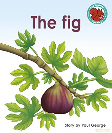 The Fig (Red Squirrel Phonics Level 2 Set 2) - Paul George [KSIĄŻKA]