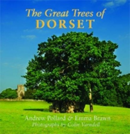 The Great Trees of Dorset - Andrew Pollard [KSIĄŻKA]
