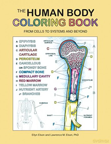 The Human Body Coloring Book: From Cells to Systems and Beyond (Coloring Concepts) - Coloring Concepts Inc. [KSIĄŻKA]