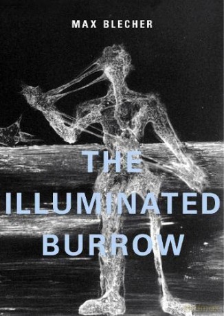 The Illuminated Burrow: A Sanatorium Journal - Max Blecher [KSIĄŻKA]