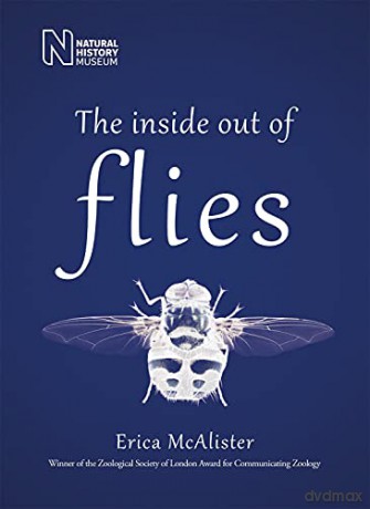 The Inside Out of Flies - Erica McAlister [KSIĄŻKA]
