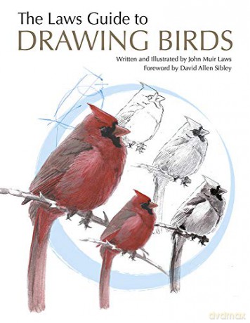 The Laws Guide to Drawing Birds - John Muir Laws [KSIĄŻKA]
