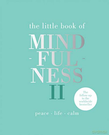 The Little Book of Mindfulness II: More words of wisdom Peace | Life | Calm - Alison Davies [KSIĄŻKA]