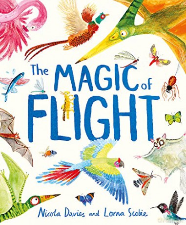 The Magic of Flight: Discover birds, bats, butterflies and more in this incredible book of flying creatures - Nicola Davies [KSIĄŻKA]