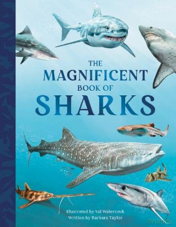 The Magnificent Book of Sharks (The Magnificent Books of: Animals): 3 - Barbara Taylor [KSIĄŻKA]