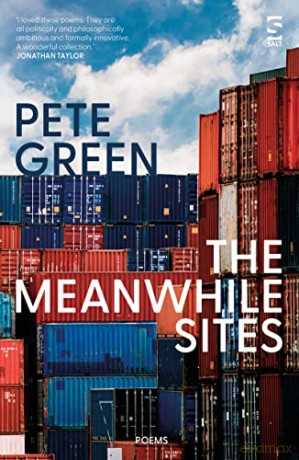 The Meanwhile Sites (Salt Modern Poets) - Pete Green [KSIĄŻKA]