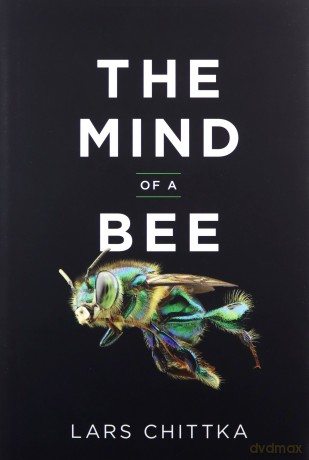 The Mind of a Bee - Lars Chittka [KSIĄŻKA]