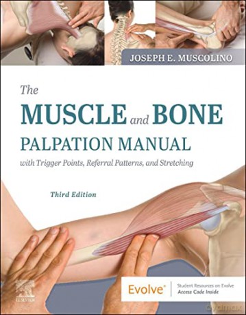 The Muscle and Bone Palpation Manual with Trigger Points, Referral Patterns and Stretching - Joseph E. Muscolino DC [KSIĄŻKA]