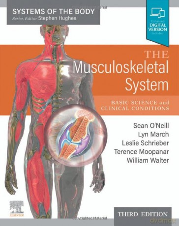 The Musculoskeletal System: Systems of the Body Series - Sean O'Neill [KSIĄŻKA]