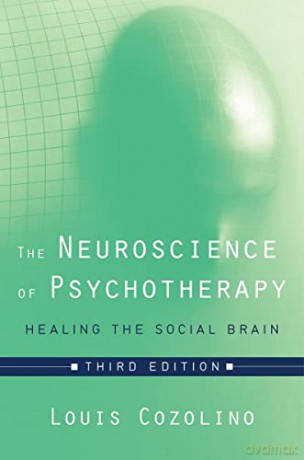 The Neuroscience of Psychotherapy: Healing the Social Brain (Norton Series on Interpersonal Neurobiology): 0 - Louis Cozolino [KSIĄŻKA]