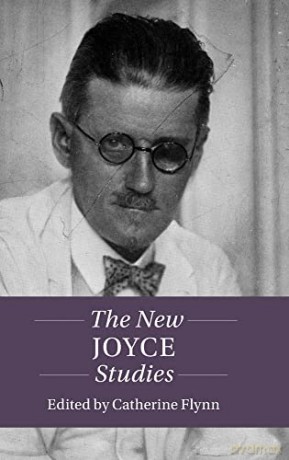The New Joyce Studies (Twenty-First-Century Critical Revisions) - Catherine Flynn [KSIĄŻKA]