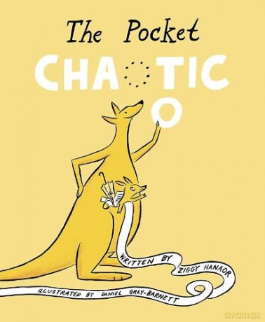 The Pocket Chaotic: Ziggy Hanaor - Ziggy Hanaor [KSIĄŻKA]
