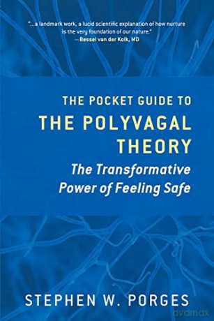 The Pocket Guide to the Polyvagal Theory: The Transformative Power of Feeling Safe (Norton Series on Interpersonal Neurobiology): 0 - Stephen Porges [KSIĄŻKA]