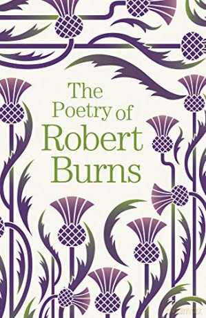 The Poetry of Robert Burns (Arcturus Great Poets Library, 8) - Robert Burns [KSIĄŻKA]