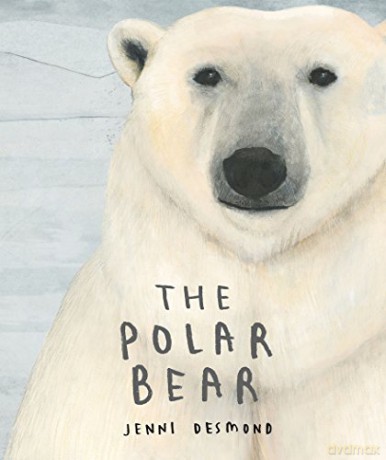 The Polar Bear - Jenni Desmond [KSIĄŻKA]