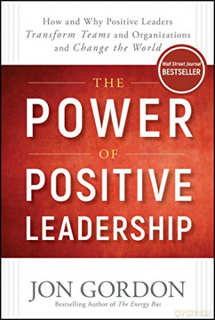 The Power of Positive Leadership: How and Why Positive Leaders Transform Teams and Organizations and Change the World (Jon Gordon) - Jon Gordon [KSIĄŻKA]