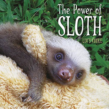 The Power of Sloth - Lucy Cooke [KSIĄŻKA]
