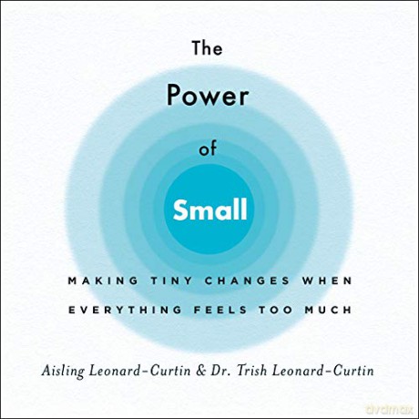 The Power of Small: Making Tiny Changes When Everything Feels Too Much - Aisling Leonard-Curtin [KSIĄŻKA]
