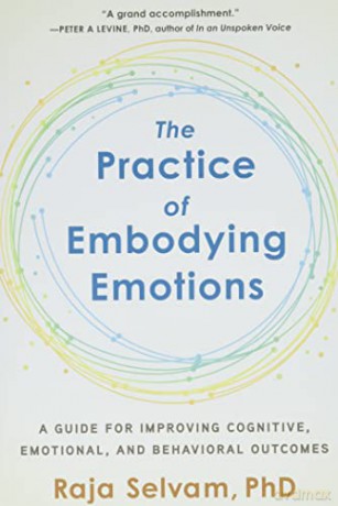 The Practice of Embodying Emotions: A Guide for Improving Cognitive, Emotional, and Behavioral Outcomes - Raja Selvam [KSIĄŻKA]