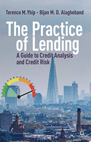 The Practice of Lending: A Guide to Credit Analysis and Credit Risk - Terence M. Yhip [KSIĄŻKA]