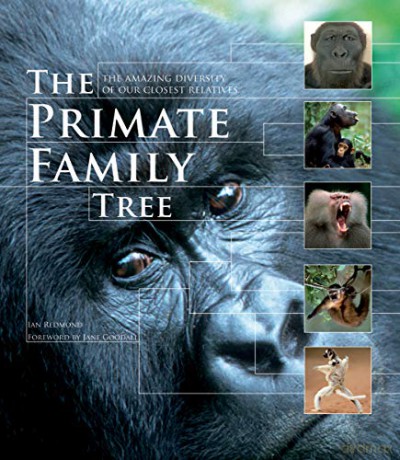 The Primate Family Tree: The Amazing Diversity of Our Closest Relatives - Ian Redmond [KSIĄŻKA]
