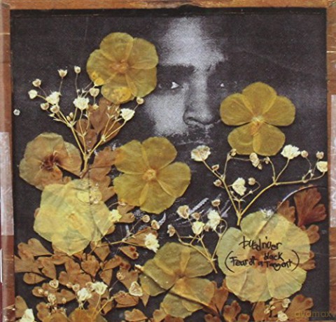 Busdriver: Fear Of A Black Tangent [CD]
